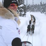 Dogsledding2